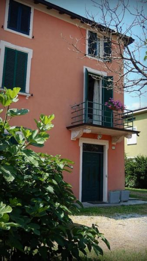 B&B Il moro selvatico